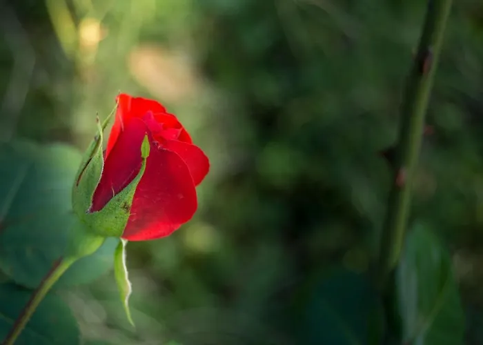 Ferienhaus Borgo Risi