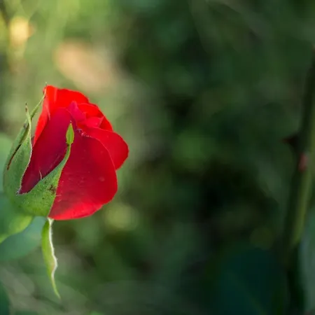 Casa vacanze Borgo Risi