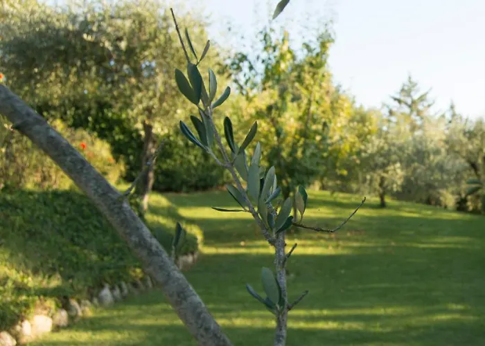 Borgo Risi * Σιένα